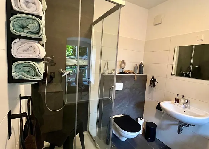 Frosch Appartement Meiningen